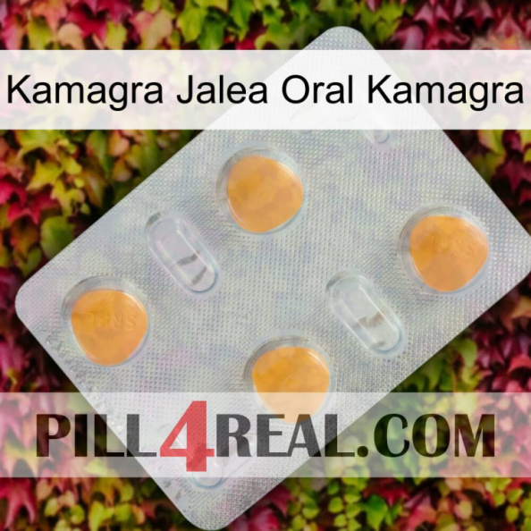 Kamagra Oral Jelly Kamagra 24.jpg